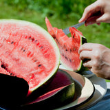 Wassermelone Samen - Citrullus lanatus - HappySeed