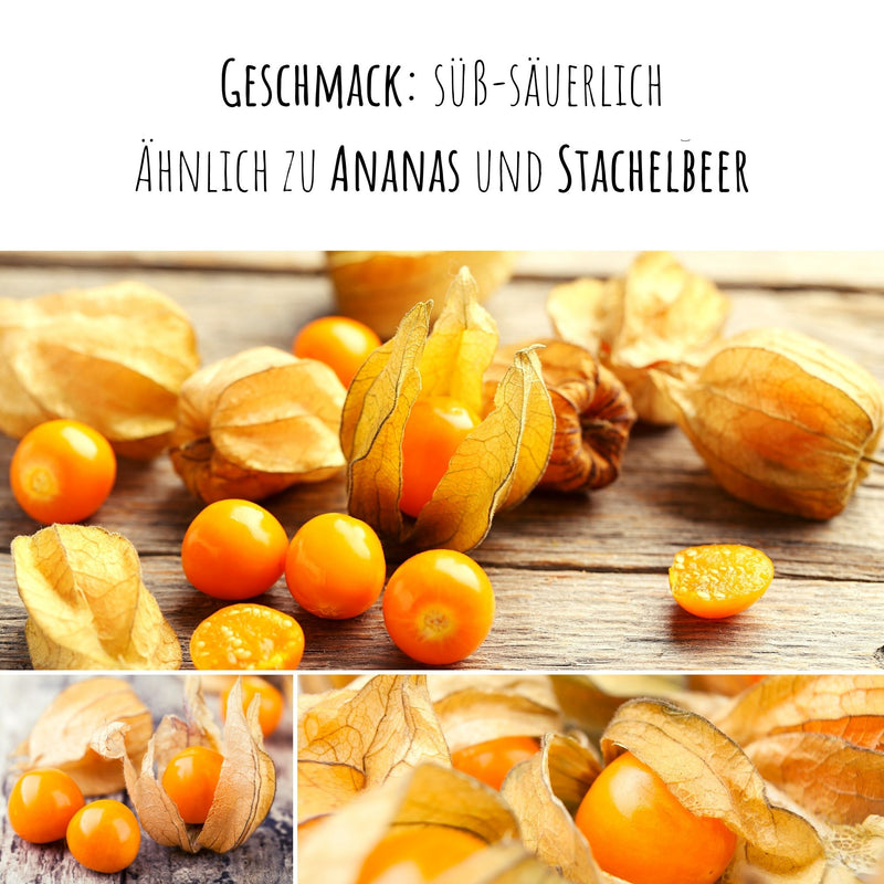 Physalis / Kapstachelbeere Samen - Physalis peruviana - HappySeed