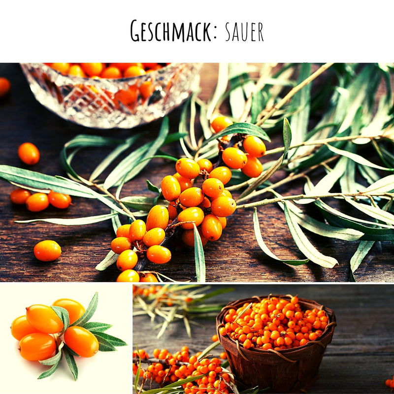 Sanddorn Samen - Hippophae rhamnoides - HappySeed