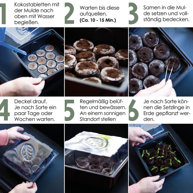 HappySeed Gewächshaus mit 12 Kokos Quelltabletten - Zur Vorkultivierung und Anzucht von Kräutern, Gemüse und Blumen - HappySeed