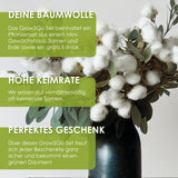 GROW2GO Baumwoll-Pflanzset ideal zur Baumwollhochzeit - Mini-Gewächshaus, Baumwollsamen & Erde - HappySeed
