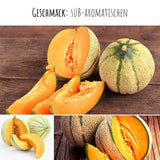 Zuckermelone Samen - Cucurbita melo - HappySeed