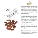 Meterbohne Samen - Vigna unguiculata - HappySeed