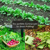 5m Saatband mit Radieschen Samen (Radies Riesenbutter Vitessa) - HappySeed