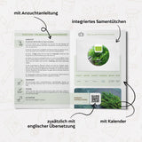 BIO Dill Samen - Küchenkräuter Saatgut aus biologischem Anbau (350 Korn) - HappySeed