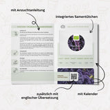 BIO Grünkohl Samen (Redbor) - Grünkohl Saatgut aus biologischem Anbau (25 Korn) - HappySeed