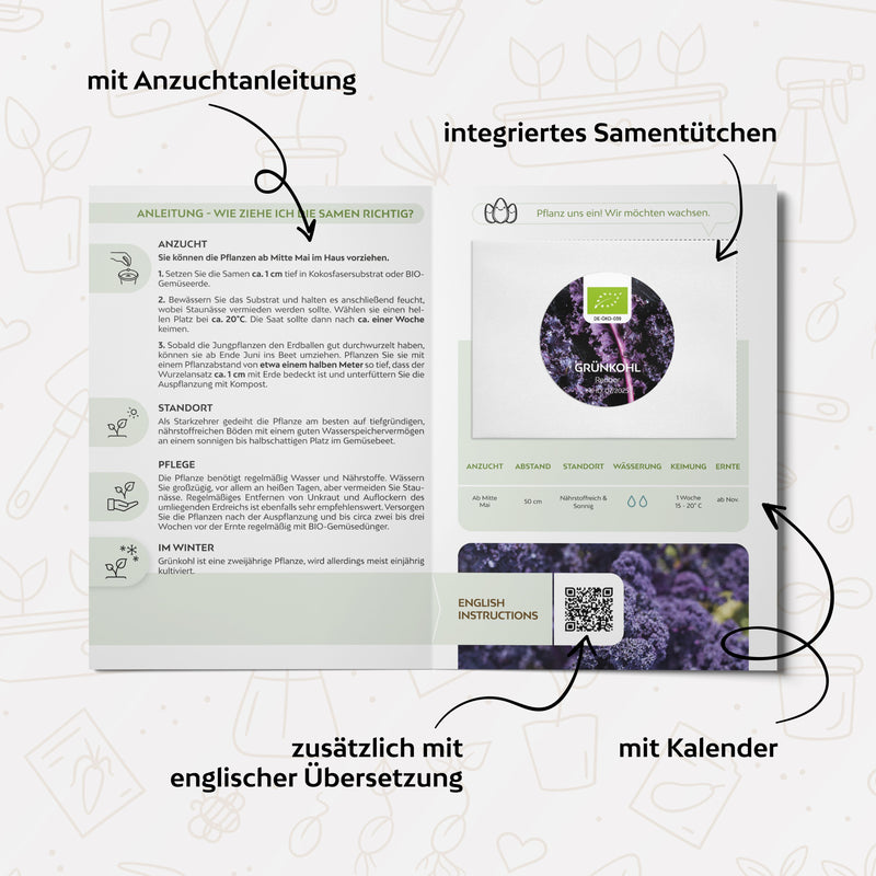 BIO Grünkohl Samen (Redbor) - Grünkohl Saatgut aus biologischem Anbau (25 Korn) - HappySeed