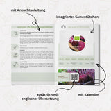 BIO Rote Beete Samen (Detroit Globe) - Rote Bete Saatgut aus biologischem Anbau (50 Korn) - HappySeed