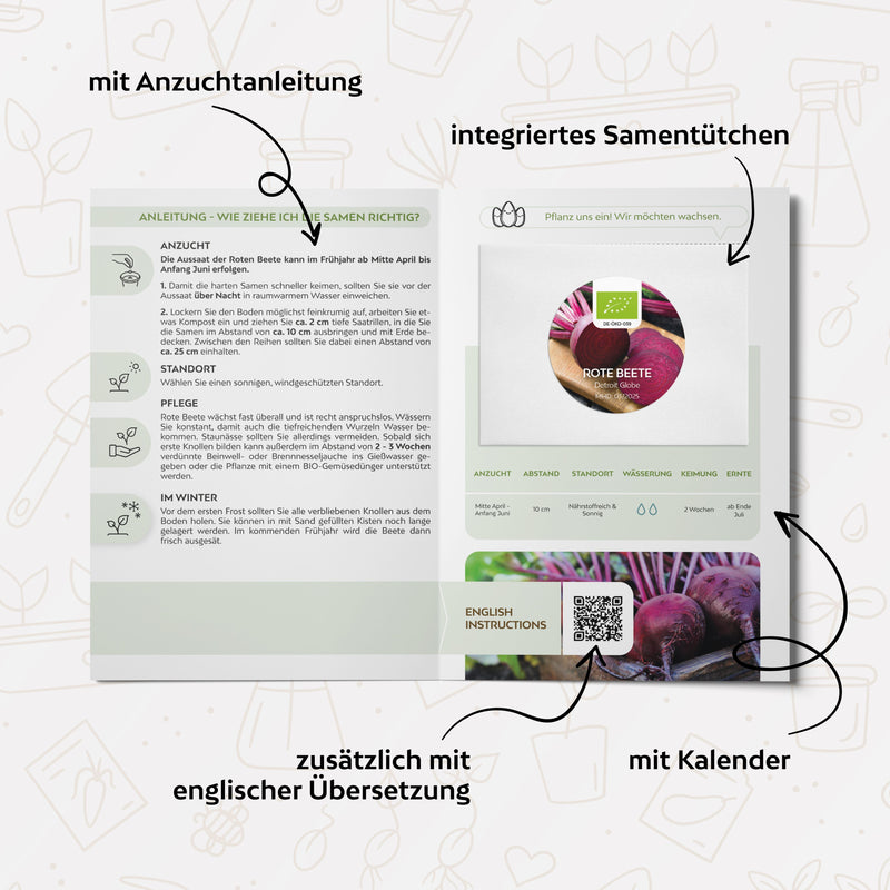 BIO Rote Beete Samen (Detroit Globe) - Rote Bete Saatgut aus biologischem Anbau (50 Korn) - HappySeed