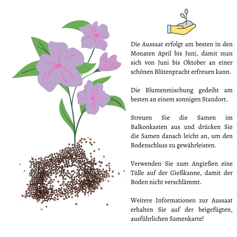 Blumensamen Balkonkasten Mischung - Petunien Mix - HappySeed