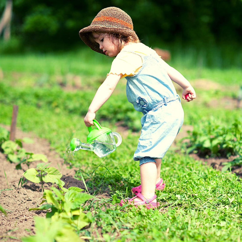 5m Saatband mit Rucola Samen - Eruca sativa - HappySeed