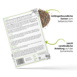 Vogelmiere Samen - Stellaria media - HappySeed