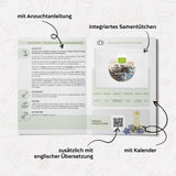 BIO Borretsch Samen - Küchenkräuter Saatgut aus biologischem Anbau (40 Korn) - HappySeed