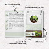 BIO Bohnen Samen (Edamame) - Bohne Saatgut aus biologischem Anbau (12 Korn) - HappySeed