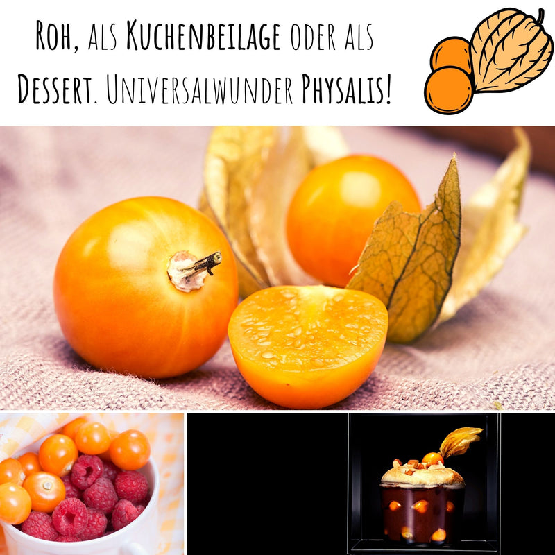 Physalis / Kapstachelbeere Samen - Physalis peruviana - HappySeed