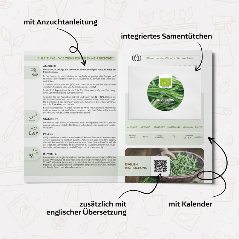 BIO Rosmarin Samen - Heilkräuter Saatgut aus biologischem Anbau (40 Korn) - HappySeed