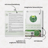 BIO Schnittknoblauch Samen - Küchenkräuter Saatgut aus biologischem Anbau (50 Korn) - HappySeed