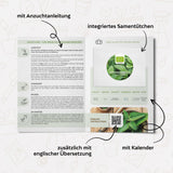 BIO Zitronenmelisse Samen - Heilkräuter Saatgut aus biologischem Anbau (500 Korn) - HappySeed