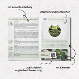 BIO Salbei Samen - Heilkräuter Saatgut aus biologischem Anbau (30 Korn) - HappySeed