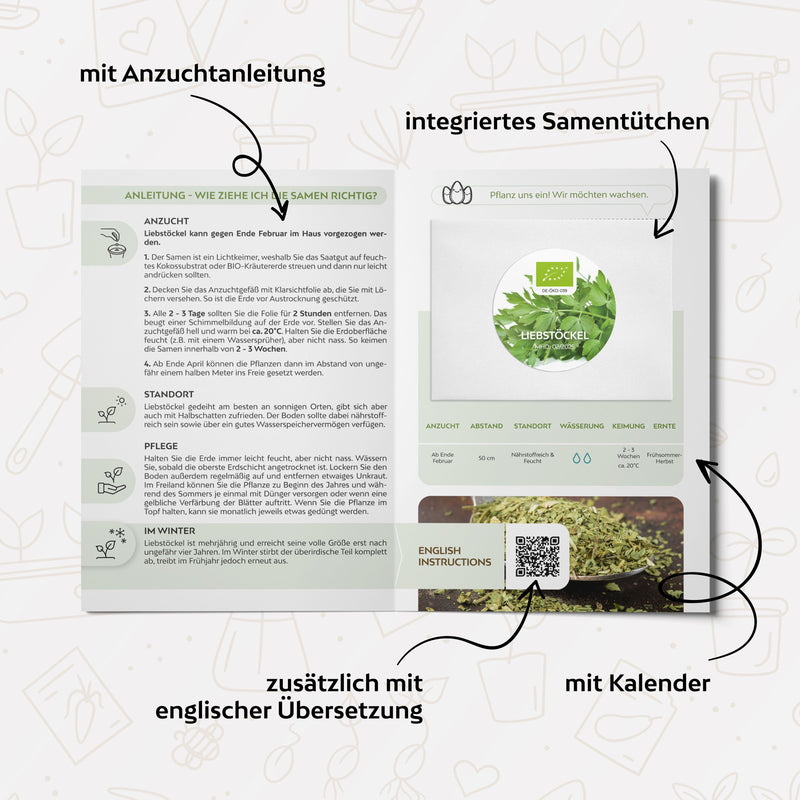 BIO Liebstöckel Samen - Küchenkräuter Saatgut aus biologischem Anbau (50 Korn) - HappySeed