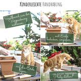 2x Saatteppich mit Blumensamen  für den Balkon (Mix) - HappySeed