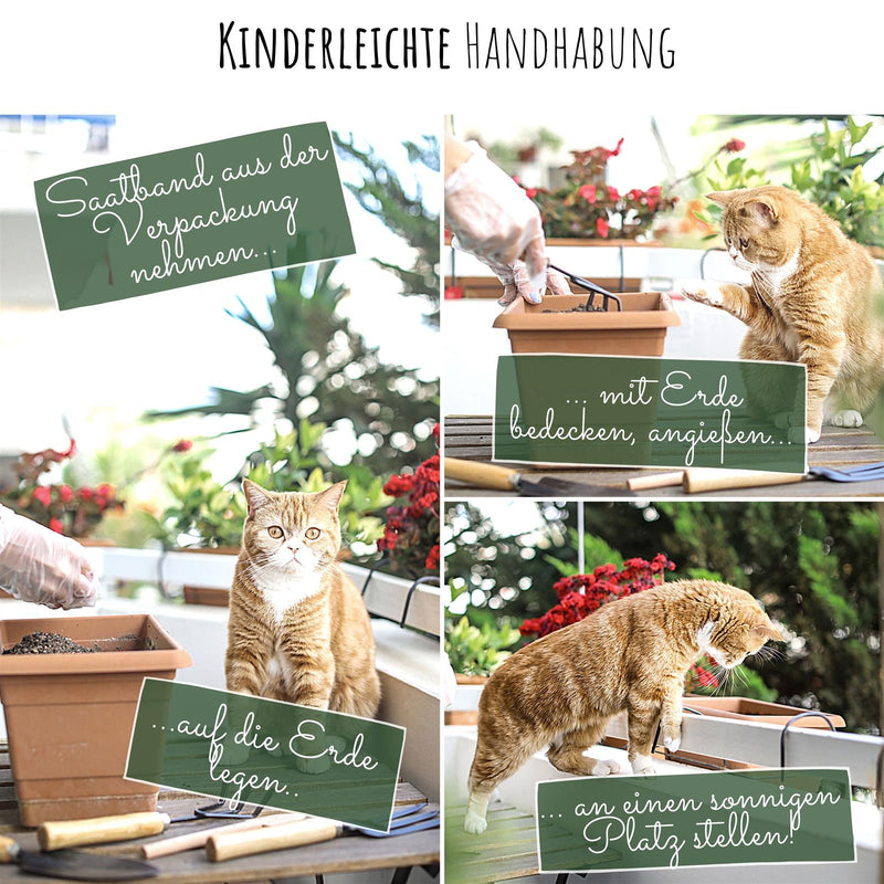 2x Saatteppich mit Blumensamen  für den Balkon (Mix) - HappySeed
