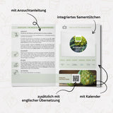 BIO Blumenkohl Samen (Romanesco) - Blumenkohl Saatgut aus biologischem Anbau (50 Korn) - HappySeed