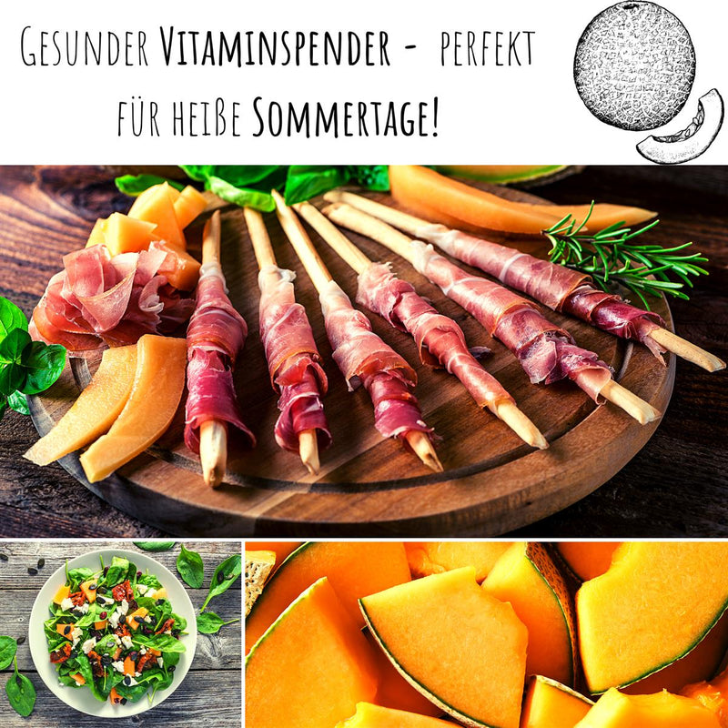 Zuckermelone Samen - Cucurbita melo - HappySeed