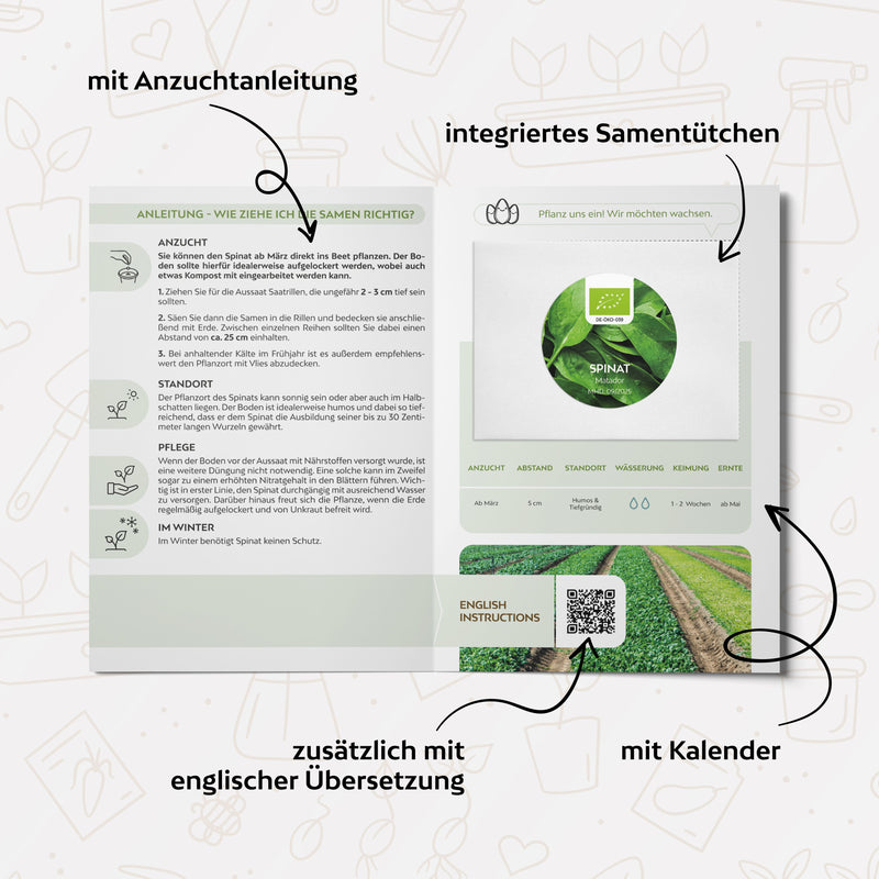 BIO Spinat Samen (Matador) - Spinat Saatgut aus biologischem Anbau (150 Korn) - HappySeed