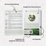 BIO Frühlingszwiebel Samen (Japanische Ishikura) - Frühlingszwiebeln Saatgut aus biologischem Anbau (75 Korn) - HappySeed