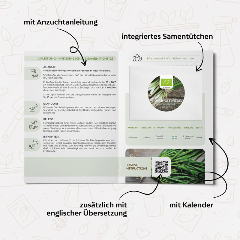 BIO Frühlingszwiebel Samen (Japanische Ishikura) - Frühlingszwiebeln Saatgut aus biologischem Anbau (75 Korn) - HappySeed