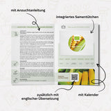 BIO Zuckermais Samen (Golden Bantam) - Mais Saatgut aus biologischem Anbau (30 Korn) - HappySeed