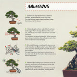 Scharfe Bonsai Schere aus Stahl - Traditionelles Bonsai Werkzeug für eine professionelle Bonsai-Zucht - ideal für Knospen, Blätter &amp; Äste - HappySeed