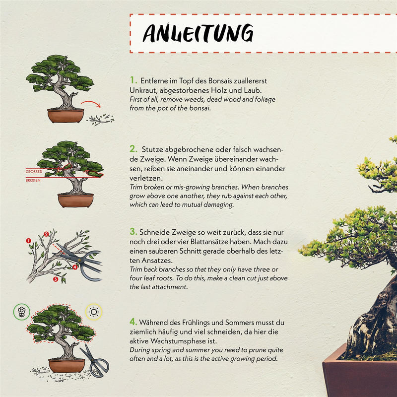 Scharfe Bonsai Schere aus Stahl - Traditionelles Bonsai Werkzeug für eine professionelle Bonsai-Zucht - ideal für Knospen, Blätter &amp; Äste - HappySeed
