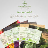 BIO Löwenzahn Samen - Küchenkräuter Saatgut aus biologischem Anbau (400 Korn) - HappySeed