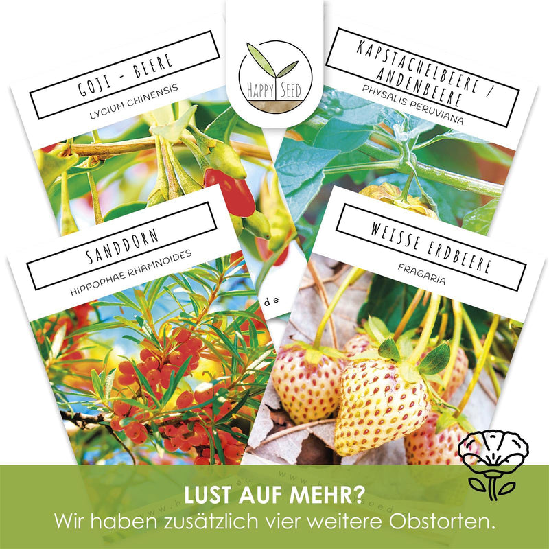 Erdbeeren Samen - Fragaria - HappySeed