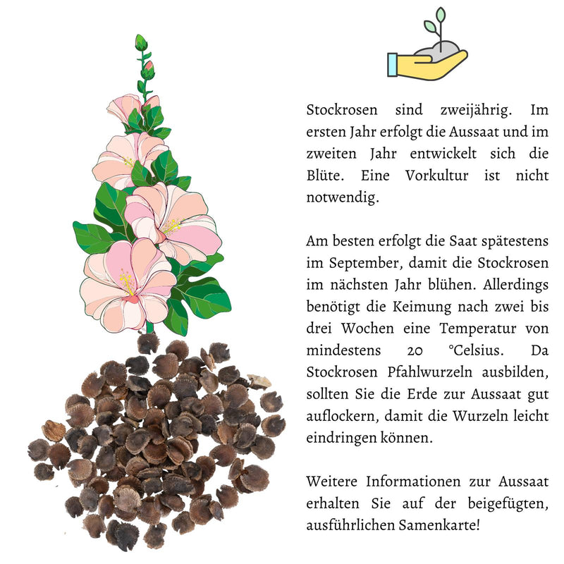 Stockrosen Samen - Alcea Rosea (Gelb) - HappySeed