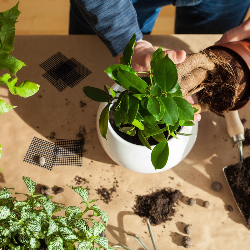 10er Set Bonsai Abdecknetze aus Kunststoff, Schwarz