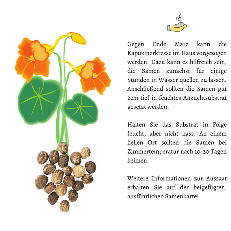 Kapuzinerkresse Samen - Tropaeolum majus - HappySeed