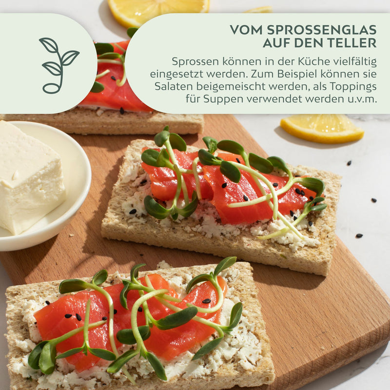 Sprossenglas Keimglas Set mit 3 Bio Sprossen Samen - Microgreens Anzuchtset für knackige Keimsprossen (Alfalfa, Mungbohne, Radieschen) - HappySeed