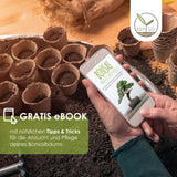 GROW2GO Bonsai Starter Kit inkl. GRATIS eBook - Afrikanischer Blauregen - HappySeed