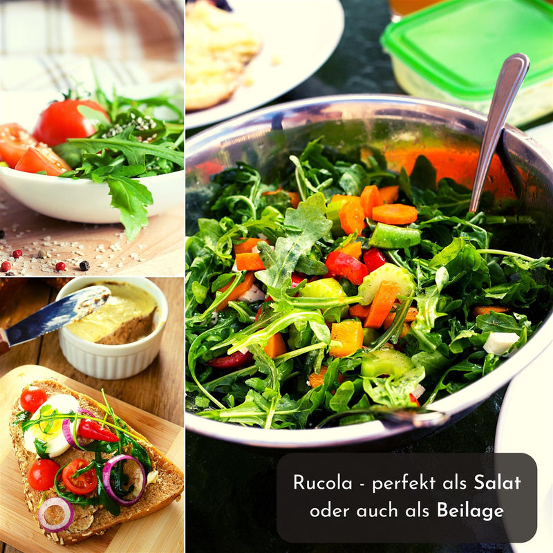 5m Saatband mit Rucola Samen - Eruca sativa - HappySeed