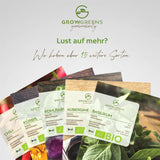BIO Mangold Samen (Schweizer) - Mangold Saatgut aus biologischem Anbau (75 Korn) - HappySeed