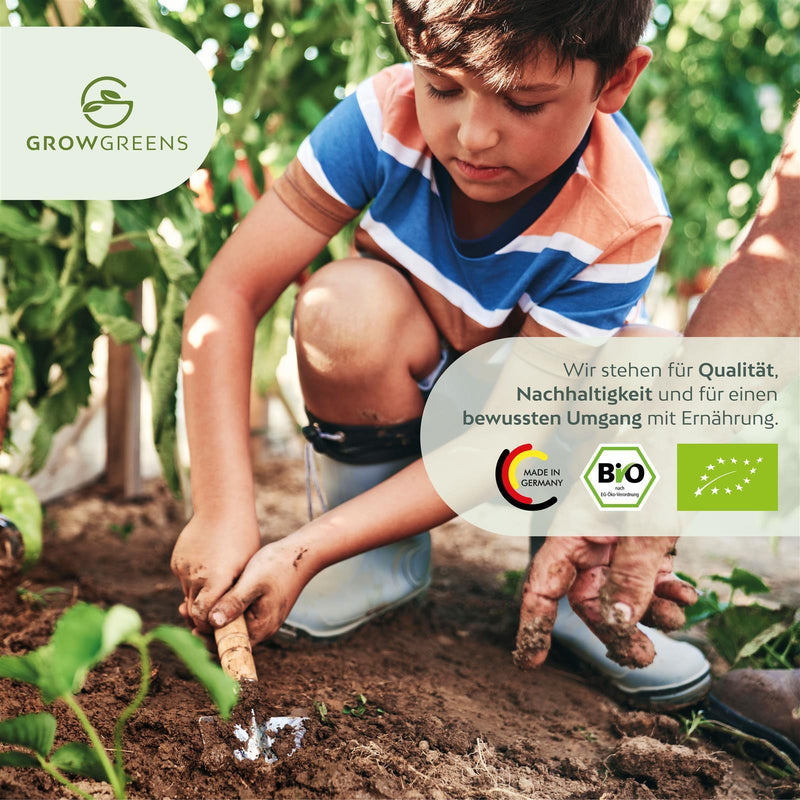 BIO Mangold Samen (Schweizer) - Mangold Saatgut aus biologischem Anbau (75 Korn) - HappySeed