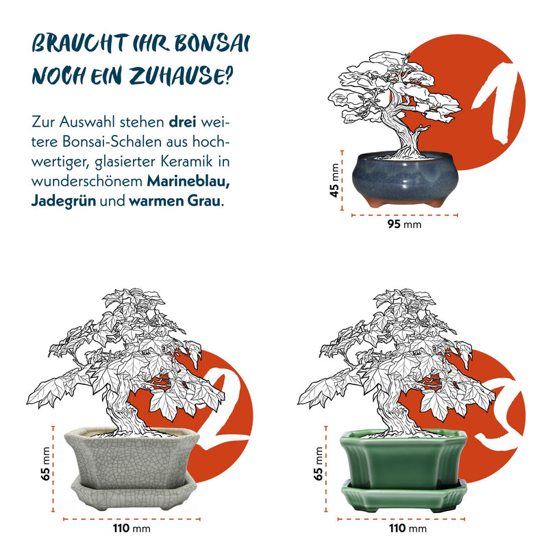 Bonsai Schale aus Keramik in Marineblau - 15 x 5,5 x 11 cm - HappySeed