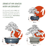 Bonsai Schale aus Keramik mit Untersetzer in Jadegrün - 11 x 6,5 x 9 cm - HappySeed