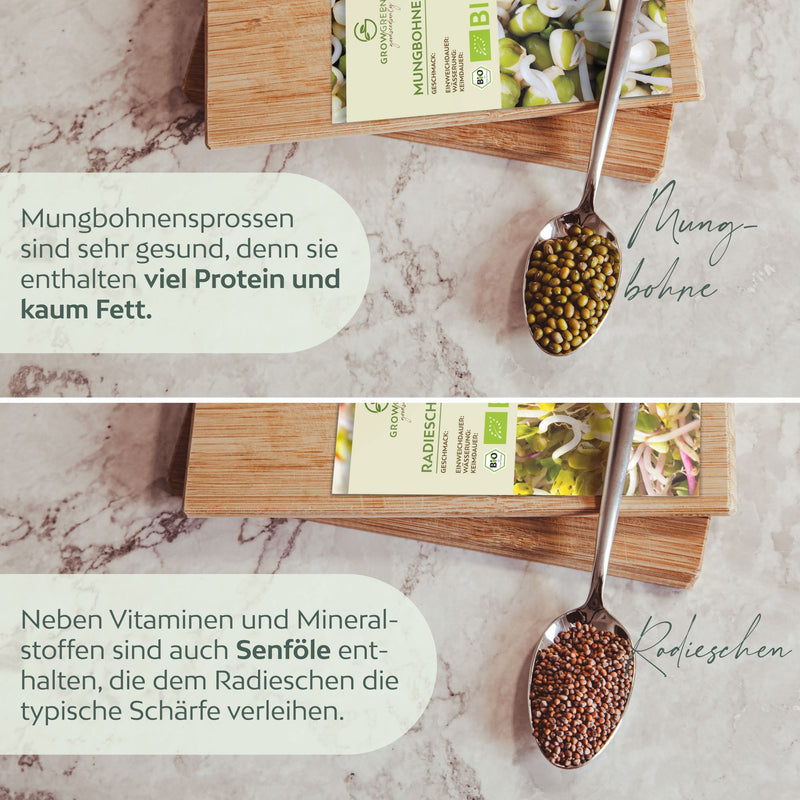 BIO Sprossen Samen (6 Sorten) - Microgreens Saatgut ideal für die Anzucht von knackigen Keimsprossen - HappySeed