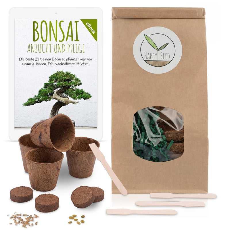 Bonsai Starter Kit inkl. eBook - Pflanzset aus Kokostöpfen, Samen &amp; Erde (Afrikanischer Blauregen + Australische Kiefer) - HappySeed