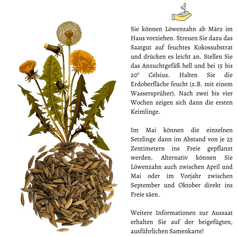 Löwenzahn Samen für Kaninchen - Wildkräuter Saatgut als optimale Futterergänzung - HappySeed