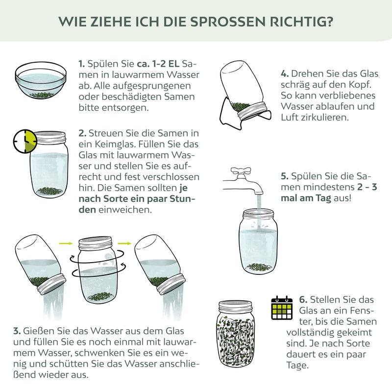 BIO Sprossen Samen (6 Sorten) - Microgreens Saatgut ideal für die Anzucht von knackigen Keimsprossen - HappySeed